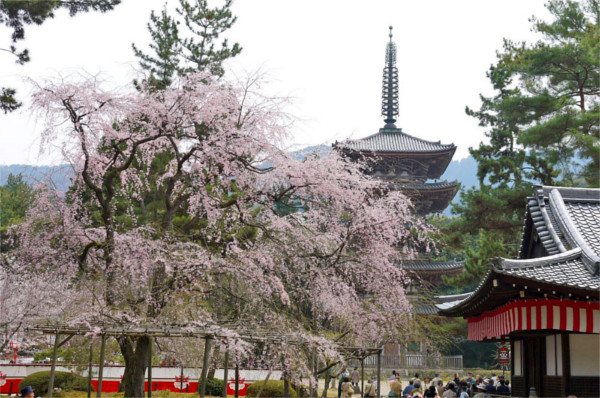 醍醐寺五重塔