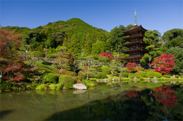 瑠璃光寺五重塔