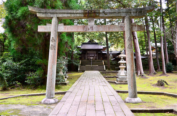 豊栄神社・野田神社